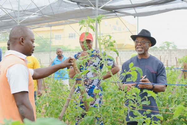 AGRICULTURE: les experts proposent des pistes pour renforcer la coopération agricole UE/Afrique